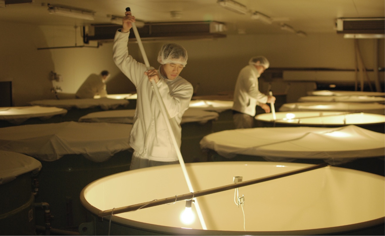 아사히슈조 (旭酒造)